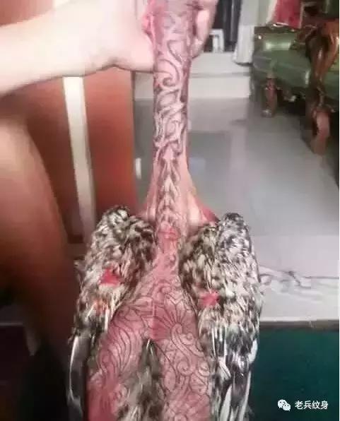 纹身怎么入门学习(纹身正确的练习方式你Get了吗)(2)