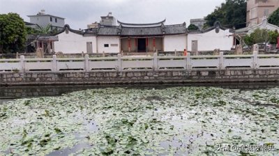 ​成语典故“城门失火殃及池鱼”的真正含义很多人都搞错了