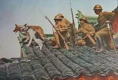 ​日本兵很蠢？彩色照片还原真实日本兵，抗日战争远比你想的残酷