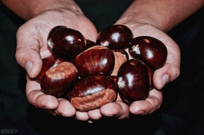 ​栗子保存新妙招揭秘：放几年都不会坏，实用又省心！