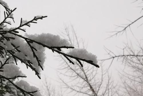 天兵照雪下玉关是什么生肖