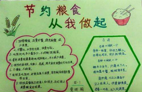节约粮食手抄报内容,节约粮食手抄报内容图4