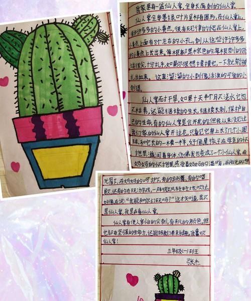 植物记录卡怎么做三年级下册仙人掌