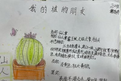 ​仙人掌记录卡怎么写,仙人掌备忘录怎么写