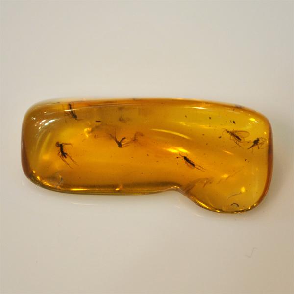 琥珀蜜蜡冷知识大全(琥珀蜜蜡最全讲解)(3)