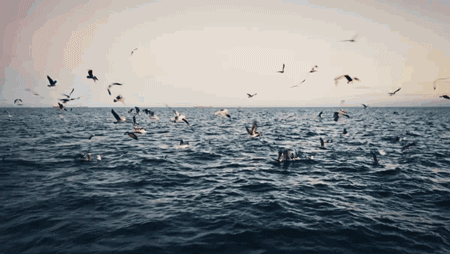 一生要去的51个地方你最想去哪里（10个适合一个人去流浪的地方）(35)