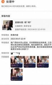 ​广西钦州灵山县快手主播传播低俗淫秽色情案件进程