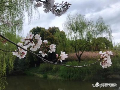 ​【美景欣赏】随拍|上海闵行体育公园，市民周末休闲娱乐好去处！