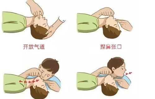 最早采用人工呼吸法救人的医学家