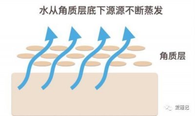 ​爽肤水有什么用（爽肤水不仅仅用来补水）