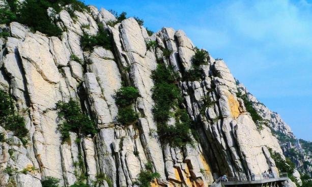 网络图片(侵删)