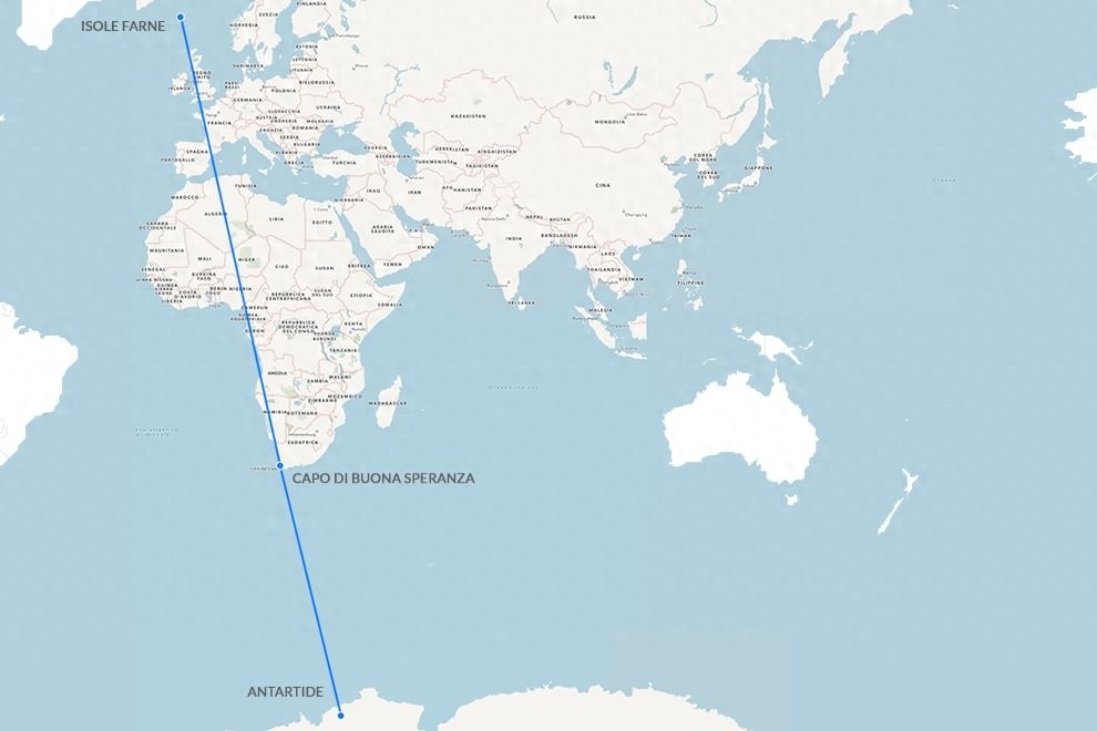 世界上飞行最远的鸟，连北极熊都怕，新世界纪录诞生，绕地球两圈