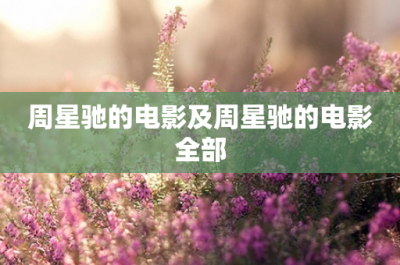 ​周星驰的电影及周星驰的电影全部