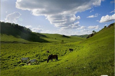 ​徜徉坝上草原，驾驭自然之美，张北自驾游全攻略！