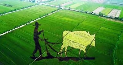 ​农村未来10大暴利行业，你不得不了解！