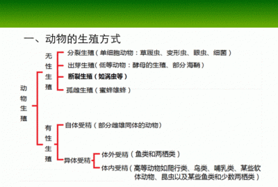​繁殖方式，植物有哪些繁殖方式？
