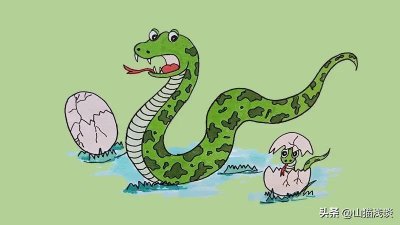 ​农村老人说：“打蛇一定要打死，否则后果很严重”这是为什么呢？