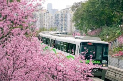 ​十大春游路线、200+踏春赏花热门地……春游重庆 看这里就够了！