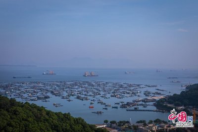 ​走进“广东鱼仓”：渔民的避风港——闸坡国家中心渔港