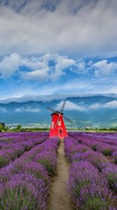 ​＂Dirty work＂ 中文意思可不是“肮脏的工作”！