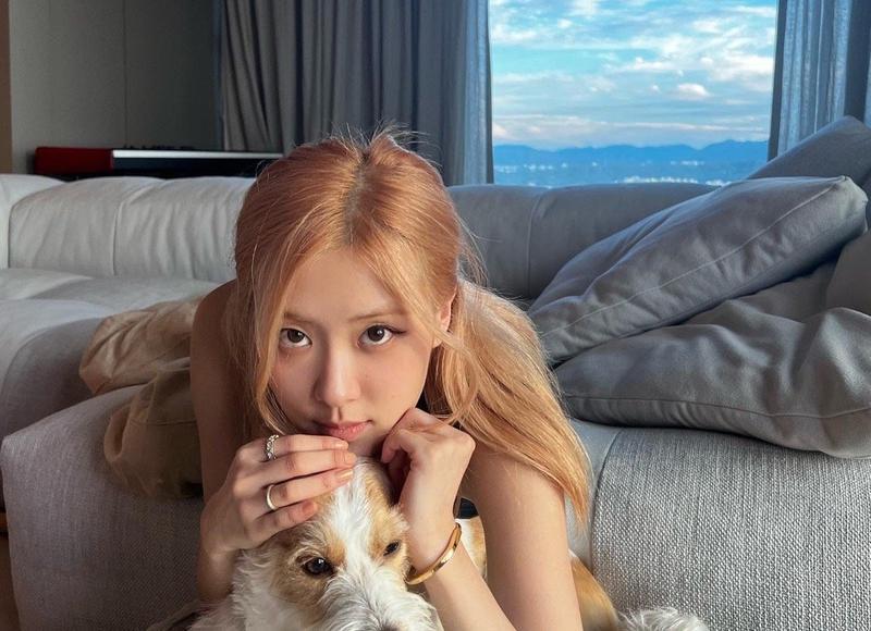 就这样结束了吗? 就这样结束了吗?