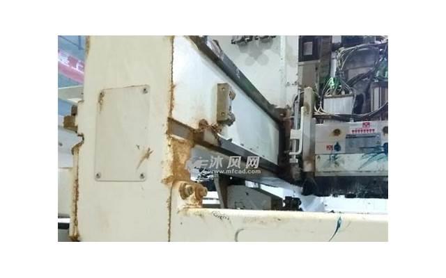 滑子菇是什么？滑子菇图片