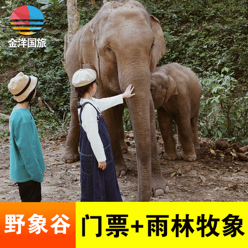 4、钟山区野象谷