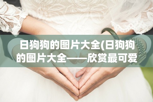 日狗狗的图片大全(日狗狗的图片大全——欣赏最可爱的日本犬品种)