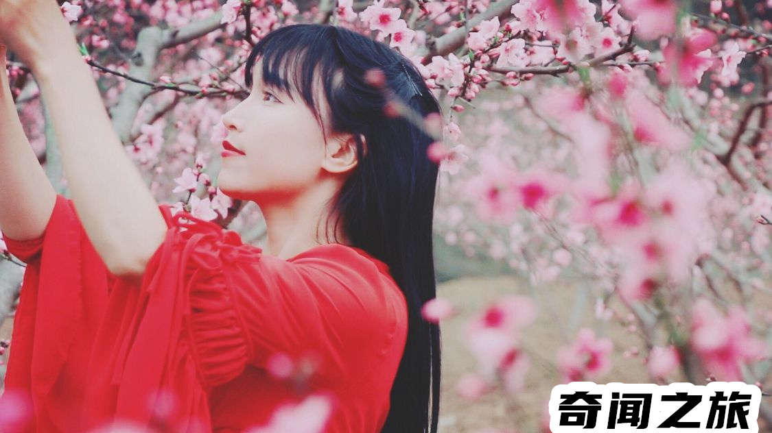 李子柒为何突然消失（李子柒现在的现状）(10)_