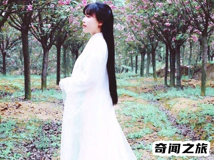 李子柒为何突然消失（李子柒现在的现状）(12)_