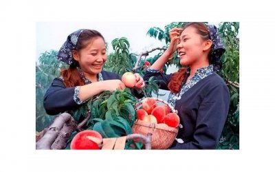 ​一段感动到哭的表白( 永恒的誓言：我对你的深情表白)