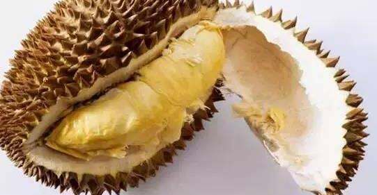 榴莲没熟怎么办,榴莲买回来打开后发现没有熟怎么办图3