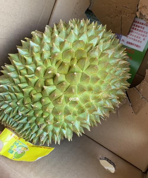 榴莲没熟怎么办：榴莲买回来打开后发现没有熟怎么办