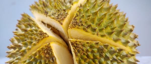 榴莲没熟怎么办,榴莲买回来打开后发现没有熟怎么办图7