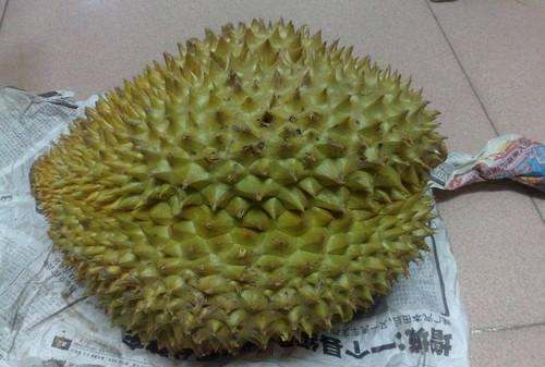榴莲没熟怎么办,榴莲买回来打开后发现没有熟怎么办图10