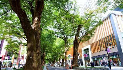 ​东京旅行高级玩法：到古时武藏国首府「府中市」当一日市民