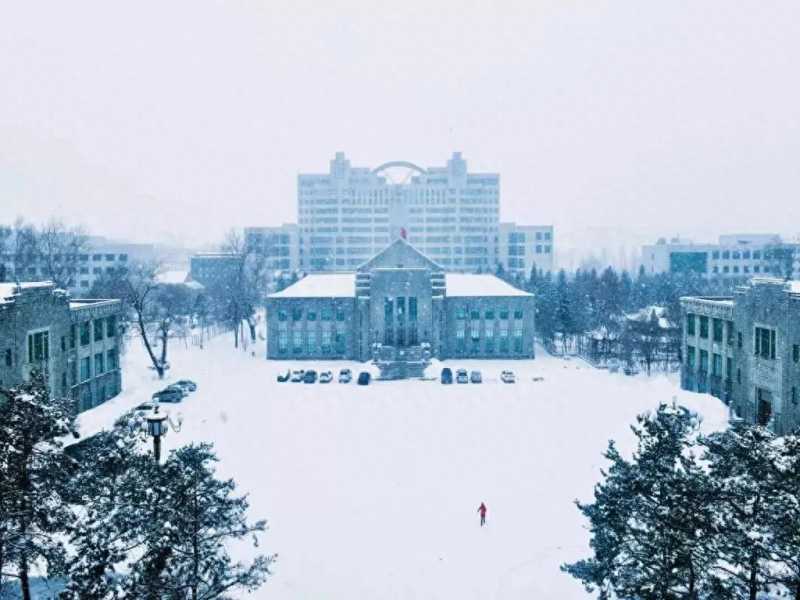 华北电力大学图书馆(华北电力大学与东北电力大学数据分析)