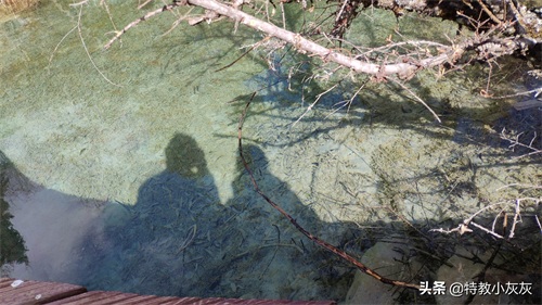 绿水青山·丽江玉龙雪山下的蓝月谷