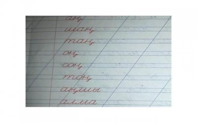 ​野生猕猴桃，秦岭现至今最粗、最大野生猕猴桃树王