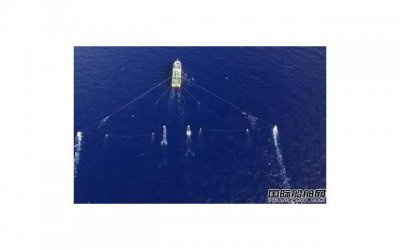 ​日本娃娃人偶（赏心悦目的传统日本人偶）