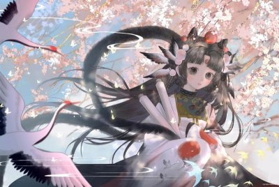 ​适合诉讼离婚的情形都有哪些