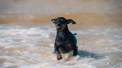 ​超级飓风米尔顿有多可怕？所到之处寸草不生