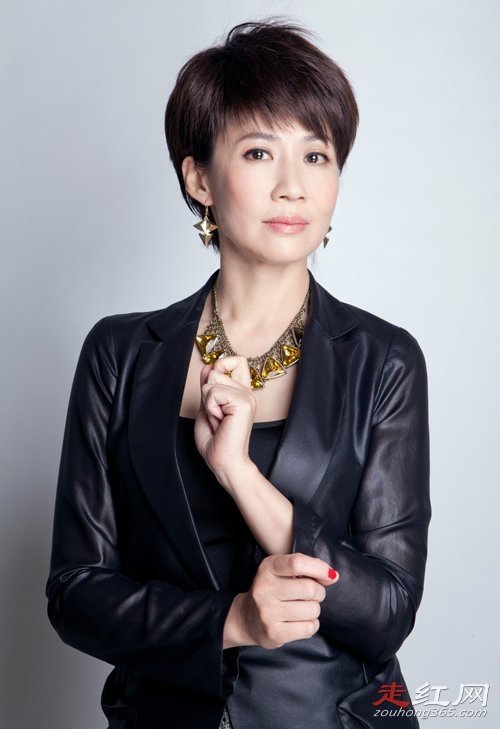 张光北老婆陈炜个人资料照片 一直都是娱乐圈里的楷模