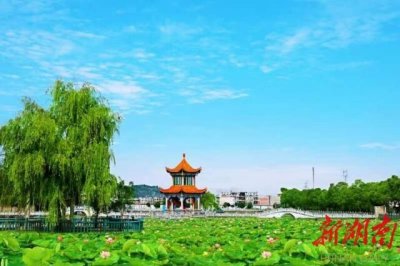 ​职业教育新答卷｜永州工贸学校：谋乡村振兴 竞职教风流