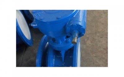 ​小怪兽塞一天的感受知乎（珍珠内裤的珍珠分别卡在哪）